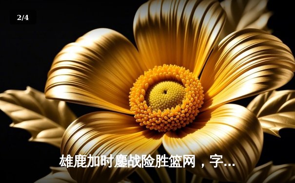 雄鹿加时鏖战险胜篮网，字母哥44分准三双闪耀密尔沃基 - 2